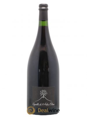Vin de France Les Orgues Vignoble de l'Arbre Blanc (sans prix de réserve) 2018 - Lot de 1 Magnum