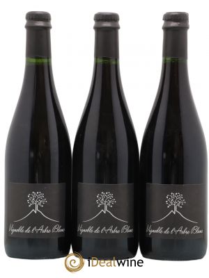Vin de France Les Orgues Vignoble de l'Arbre Blanc (sans prix de réserve) 2018 - Lot de 3 Bouteilles