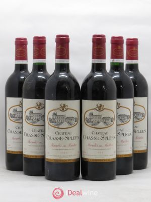 Château Chasse Spleen  1995 - Lot of 6 Bottles