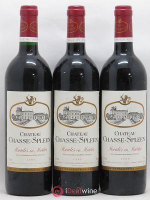 Château Chasse Spleen  1995 - Lot de 3 Bouteilles