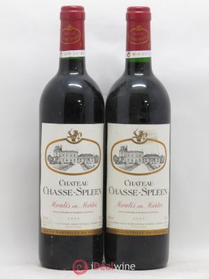 Château Chasse Spleen  1995 - Lot de 2 Bouteilles