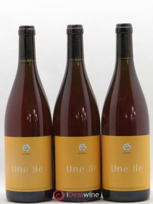 Vin de France Une Ile Clos des Grillons  2019 - Lot de 3 Bouteilles