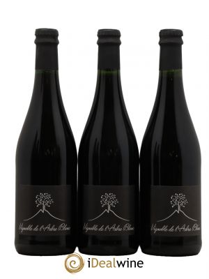 Vin de France Les Orgues Vignoble de l'Arbre Blanc  2019 - Lot of 3 Bottles