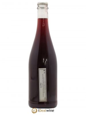 Vin de France Pinot noir Pierre Beauger  2017