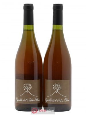 Vin de France Les Fesses Vignoble de l'Arbre Blanc  2015 - Lot de 2 Bouteilles