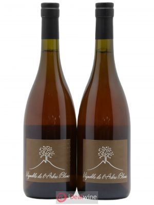 Vin de France Les Fesses Vignoble de l'Arbre Blanc  2018 - Lot de 2 Bouteilles