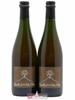 Vin de France Les Fesses Vignoble de l'Arbre Blanc  2017 - Lot de 2 Bouteilles