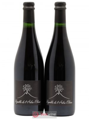 Vin de France Les Orgues Vignoble de l'Arbre Blanc  2018 - Lot de 2 Bouteilles