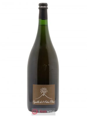 Vin de France Les Fesses Vignoble de l'Arbre Blanc  2017 - Lot of 1 Magnum