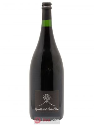 Vin de France Les Orgues Vignoble de l'Arbre Blanc  2018 - Lot of 1 Magnum