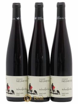 Pinot Noir Neumeyer Berger 2019 - Lot de 3 Bouteilles