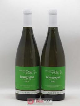Bourgogne Domaine de la Cras - Marc Soyard  2019 - Lot of 2 Bottles