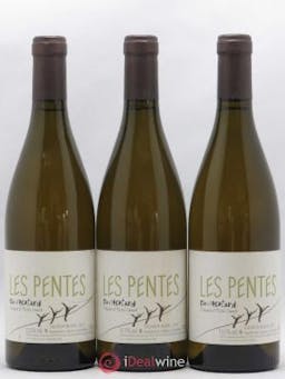Saumur Les Pentes du Clos de l'Ecotard Roches Neuves (Domaine des)  2017 - Lot de 3 Bouteilles