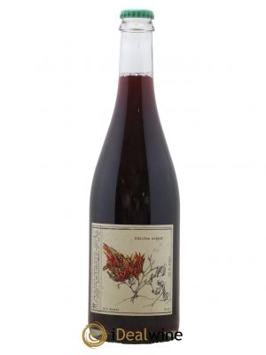 Vin de France Buisson Ardent Aurélien Lefort 2017 - Lot de 1 Bottiglia