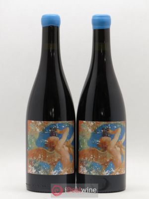 Vin de France Ange L'Ecu (Domaine de)  2017 - Lot de 2 Bouteilles
