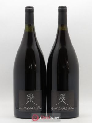 Vin de France Les Petites Orgues Vignoble de l'Arbre Blanc  2015 - Lot de 2 Magnums