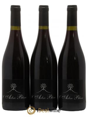 Vin de France Les Orgues Vignoble de l'Arbre Blanc  2011 - Lot de 3 Bouteilles