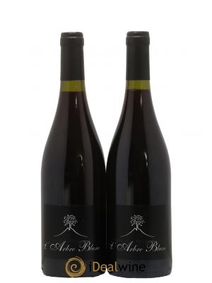 Vin de France Les Orgues Vignoble de l'Arbre Blanc  2011 - Lot de 2 Bouteilles