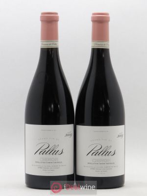 Chinon Pallus Domaine De Pallus 2009 - Lot of 2 Bottles