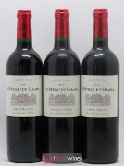 Château du Glana Cru Bourgeois  2014 - Lot of 3 Bottles