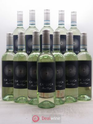 Italie Ca'Luca Pinot Grigio (no reserve) 2019 - Lot of 12 Bottles