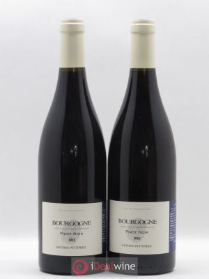 Bourgogne Uliz Antoine Petitprez 2015 - Lot of 2 Bottles