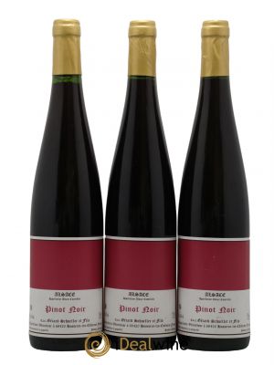 Alsace Pinot Noir LN012 Gérard Schueller (Domaine) 2014 - Lot de 3 Bottles