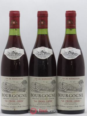 Bourgogne La Croix Lieux Andre Delorme (sans prix de réserve) 1977 - Lot de 3 Bouteilles
