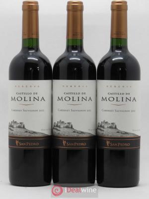 Chili Castillo de Molina Reserva San Pedro 2012 - Lot de 3 Bouteilles