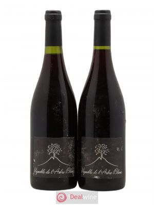 Vin de France Les Petites Orgues Vignoble de l'Arbre Blanc  2015 - Lot of 2 Bottles