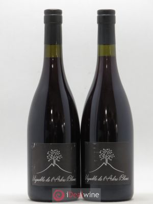 Vin de France Les Petites Orgues Vignoble de l'Arbre Blanc (sans prix de réserve) 2016 - Lot de 2 Bouteilles
