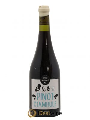 Vin de France Le Pinot Ctambule Domaine Tony Bornard 2020 - Lot de 1 Bouteille