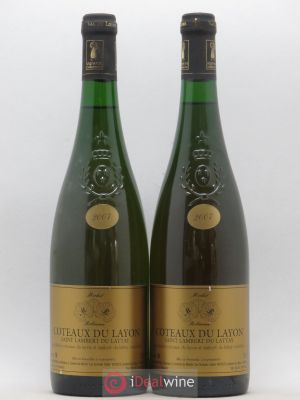 Coteaux du Layon Domaine Robineau 2007 - Lot of 2 Bottles