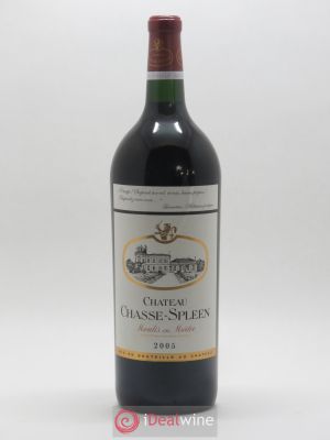 Château Chasse Spleen  2005 - Lot de 1 Magnum