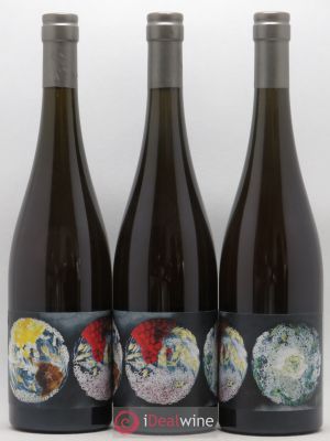 Alsace Un instant sur terre Vignoble du Rêveur (no reserve) 2019 - Lot of 3 Bottles