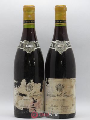 Pommard 1er Cru Rugiens Pothier Rieusset 1989 - Lot of 2 Bottles