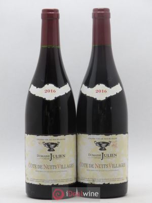 Côte de Nuits-Villages Domaine Gerard Julien et Fils 2016 - Lot of 2 Bottles