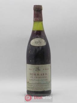 Pommard 1er Cru Champs Lin Domaine Ropiteau Mignon 1981 - Lot of 1 Bottle