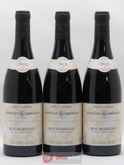 Bourgogne Robert Chevillon (no reserve) 2018 - Lot of 3 Bottles