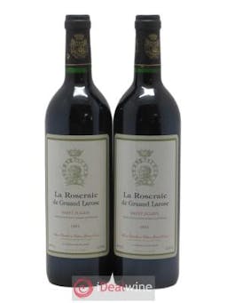 Saint-Julien La Roseraie de Gruaud Larose 1993 - Lot of 2 Bottles
