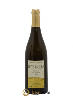 Côtes du Jura Chardonnay Les Lumachelles Cavarodes (Domaine des) - Etienne Thiébaud 2020 - Lot de 1 Bouteille