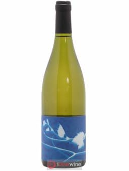 Vin de France Le Rayon Blanc Chenin Thomas Puèchavy 2019 - Lot of 1 Bottle
