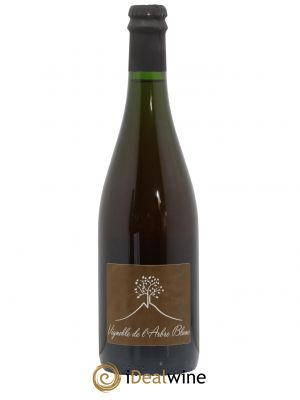 Vin de France Les Fesses Vignoble de l'Arbre Blanc 2019 - Lot de 1 Bottle
