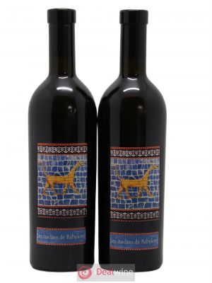 Vin de France (anciennement Jurançon) Jardins de Babylone Didier Dagueneau 50cl 2014 - Lot of 2 Bottles