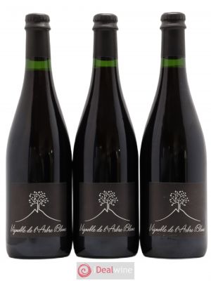 Vin de France Les Orgues Vignoble de l'Arbre Blanc  2018 - Lot of 3 Bottles