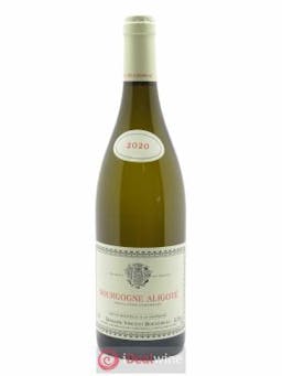 Bourgogne Aligoté Vincent Bouzereau (Domaine)  2020 - Lot of 1 Bottle