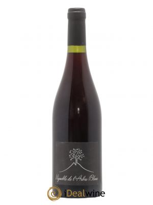 Vin de France Les Petites Orgues Vignoble de l'Arbre Blanc  2015 - Lot de 1 Bouteille