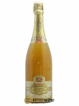 Champagne Trouillard  - Lot de 1 Bouteille