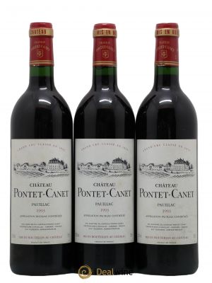 Château Pontet Canet 5ème Grand Cru Classé  1993 - Lot de 3 Bouteilles