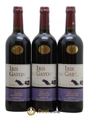 Pauillac Domaine Iris du Gayon 2007 - Lot de 3 Bottles